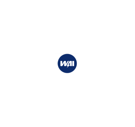 WAI Window Regulator - WPR4483LB fits Mazda