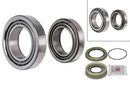 FAG Wheel Bearing Kit - 713613750