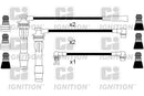 Ignition SAE Ignition Lead Set - XC306