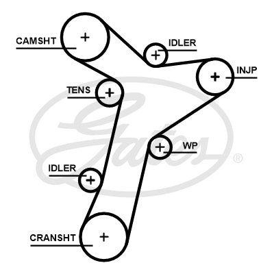 Gates Timing Belt - 5695XS