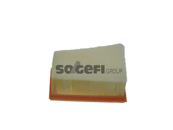 Fram Air Filter - CA10249