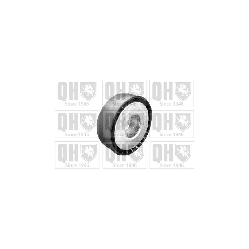 QH QTA1067 Drive Belt Tensioner
