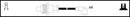 Lucas Ignition Lead Set - LUC4230