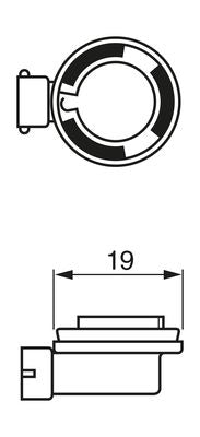 Bosch Pure/Lt Blbh8 H8 12V 35W Pgj19-1 Part No - 1987302081