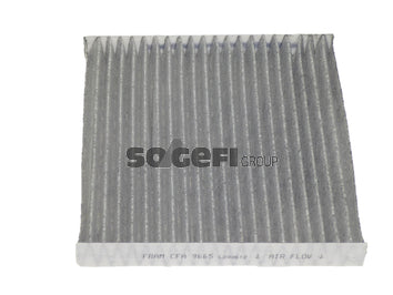Fram Cabin / Pollen Filter - CFA9665