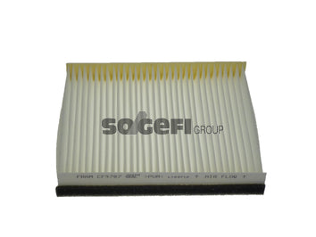 Fram Cabin / Pollen Filter - CF9787
