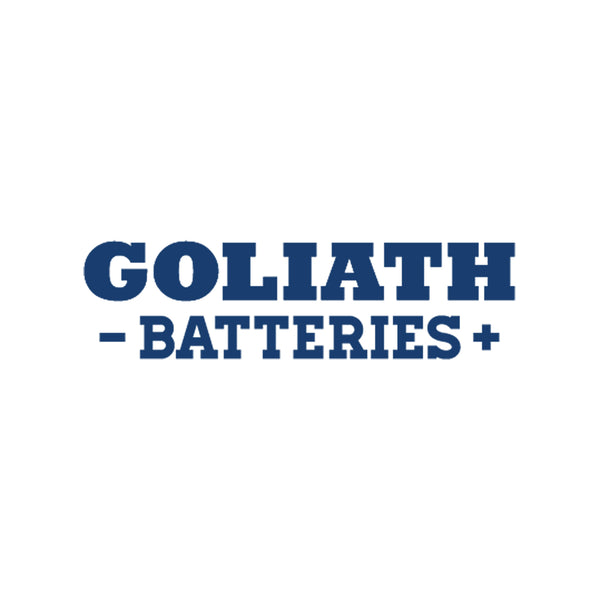 Goliath G100 EFB Start Stop Plus Batteries - 65Ah 650A