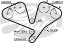 Gates PowerGrip Belt - 5442XS