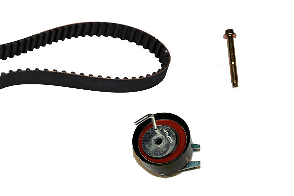 INA Timing Belt Set - Part No - 530047610