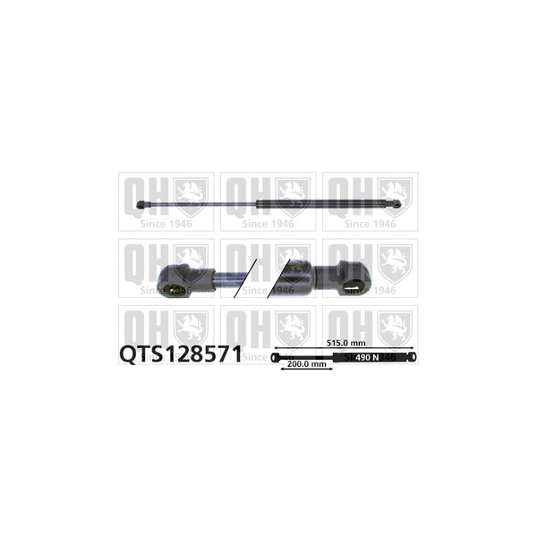 QH QTS128571 Gas Spring
