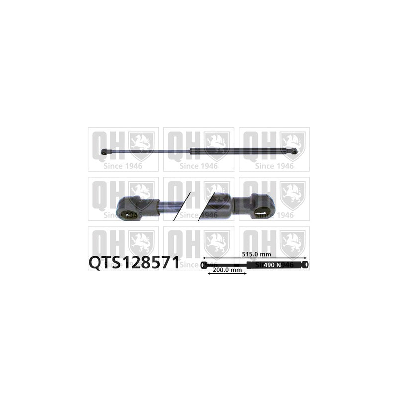 QH QTS128571 Gas Spring