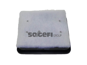 Fram Air Filter - CA10355