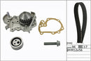 INA Water Pump & Timing Belt Set - Part No - 530019131