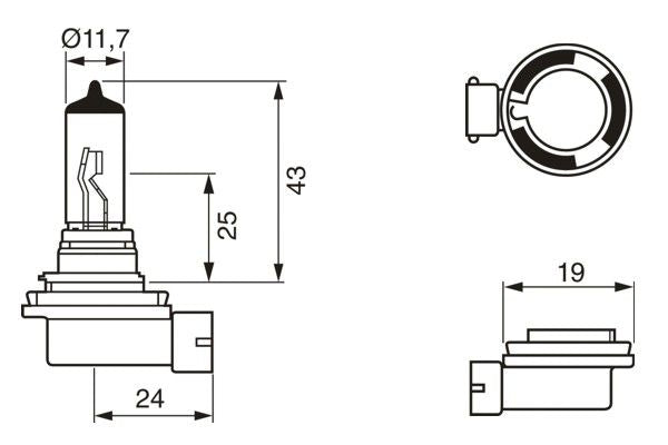 Bosch H11 Bulb Eco 12V 55W Pgj19-2