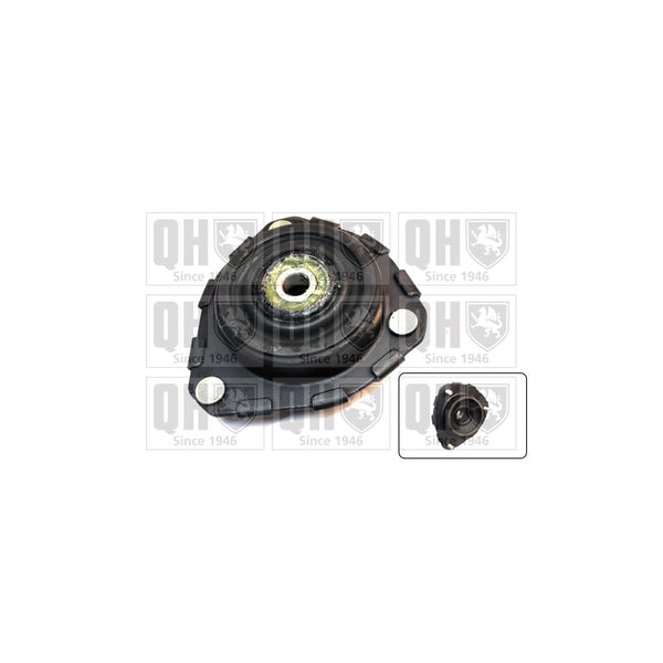 QH EMA6078 Top Strut Mounting - Front inc.Bearing LH & RH