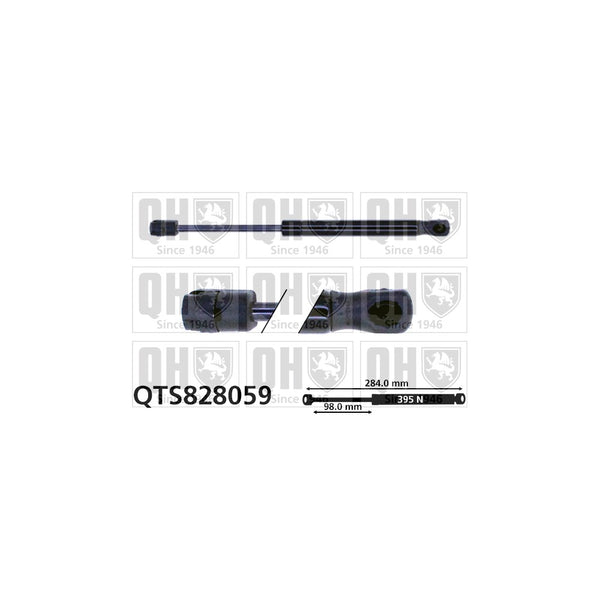 QH QTS828059 Gas Spring