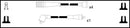Lucas Ignition Lead Set - LUC7455