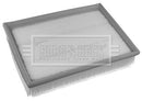 Borg & Beck Air Filter - BFA2365