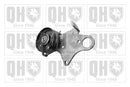 QH Tensioner Pulley V-Ribbed Drive Belt - QTA694