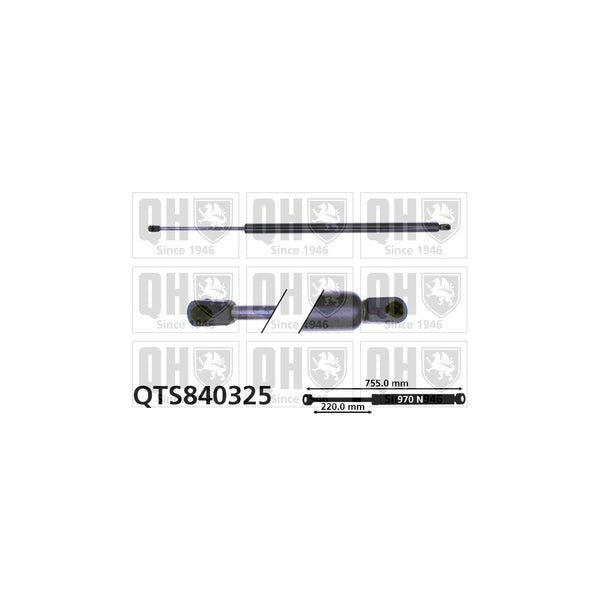 QH QTS840325 Gas Spring