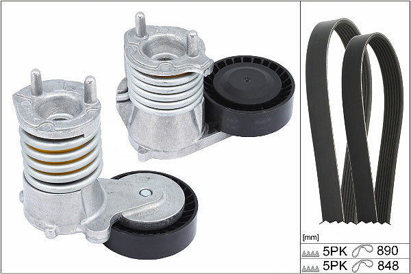 INA V-Ribbed Belt Set - Part No - 529049010
