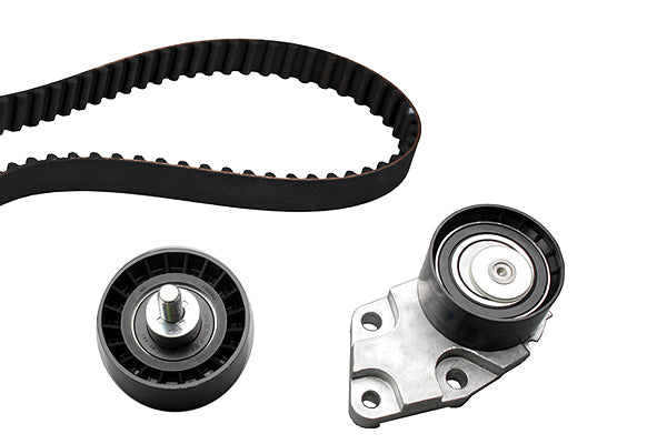 INA Timing Belt Set - Part No - 530033210