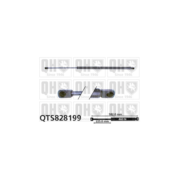 QH QTS828199 Gas Spring