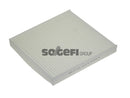Fram Cabin / Pollen Filter - CF11183