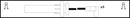 HighVolt Ignition Lead Set - OEF797