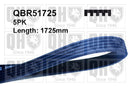 QH V-Ribbed Drive Belt - QBR51725