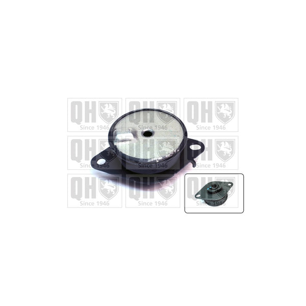 QH EM4690 Engine Mounting