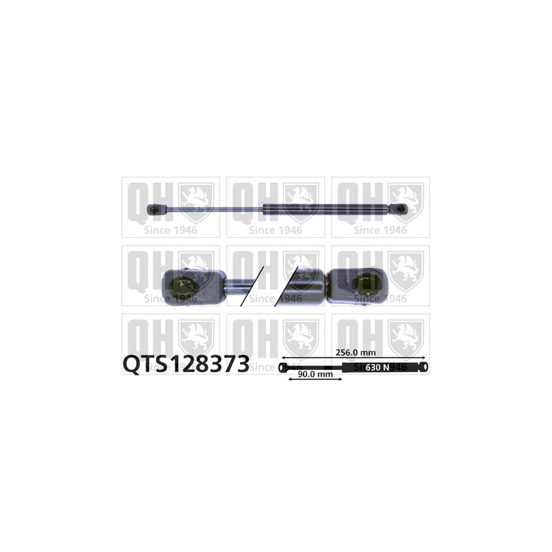 QH QTS128373 Gas Spring