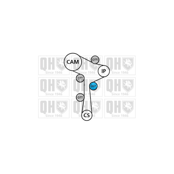 QH QBPK8980 Timing Kit & Water Pump