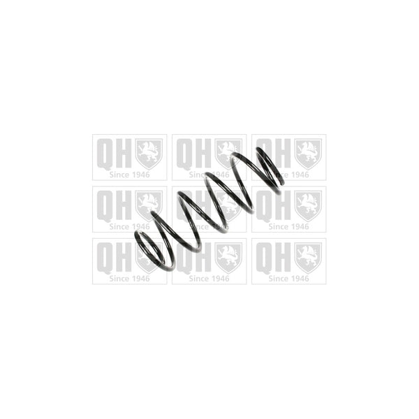 QH QCS5165 Coil Spring