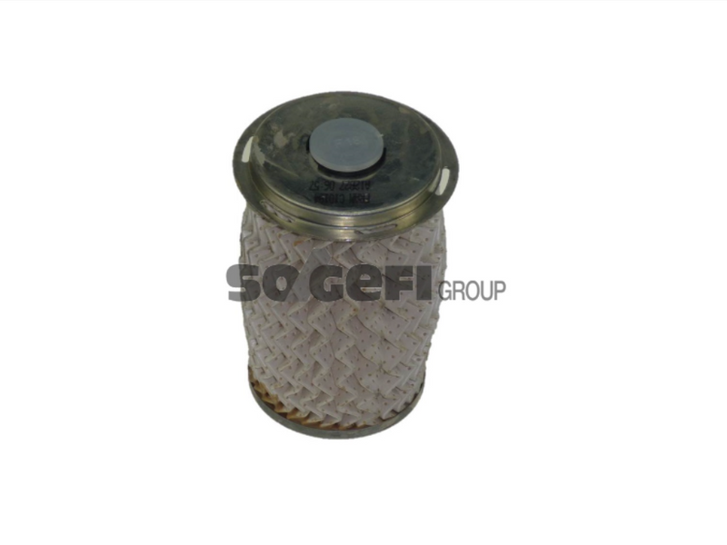 Fram Fuel Filter - C10194