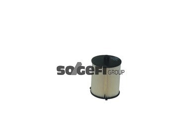 Fram Fuel Filter - C11487