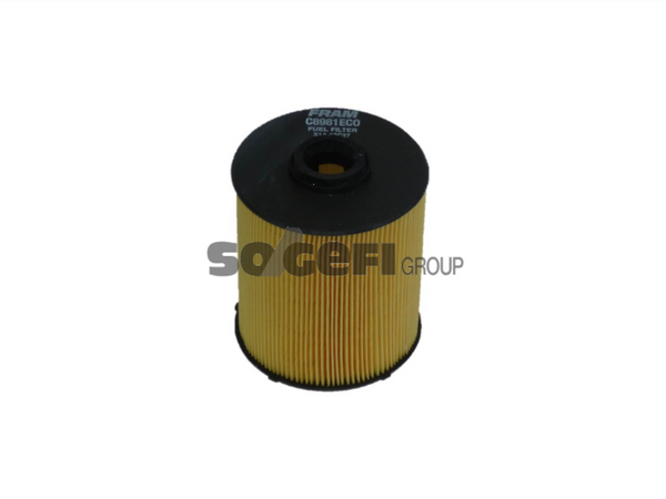 Fram Fuel Filter - C8981ECO