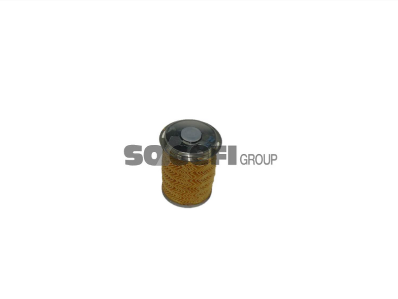 Fram Fuel Filter - C9678