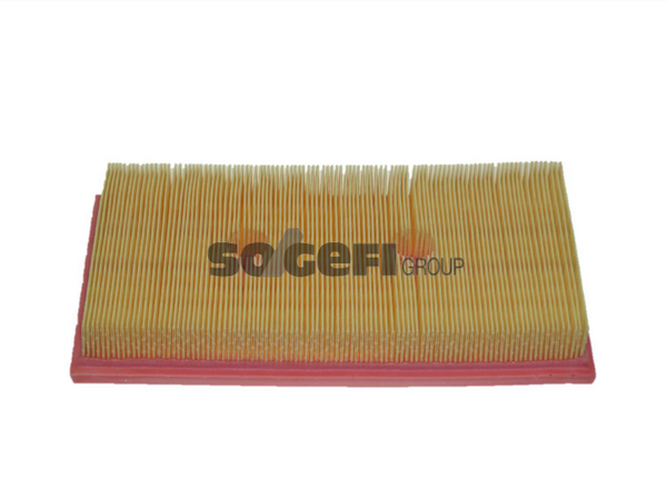 Fram Air Filter - CA10058