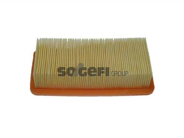 Fram Air Filter - CA10088