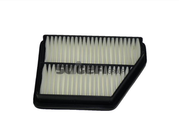 Fram Air Filter - CA10117