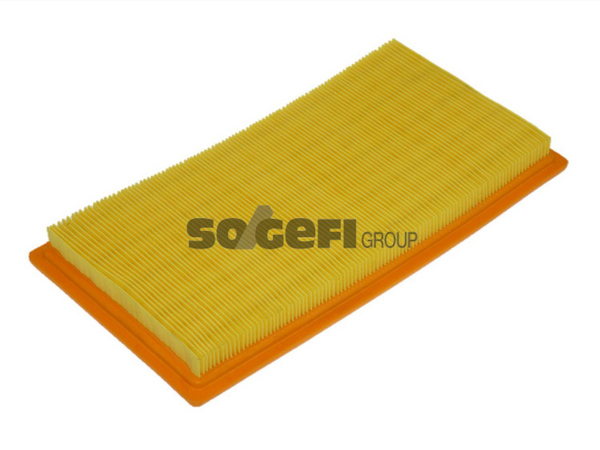 Fram Air Filter - CA10118