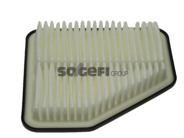 Fram Air Filter - CA10169