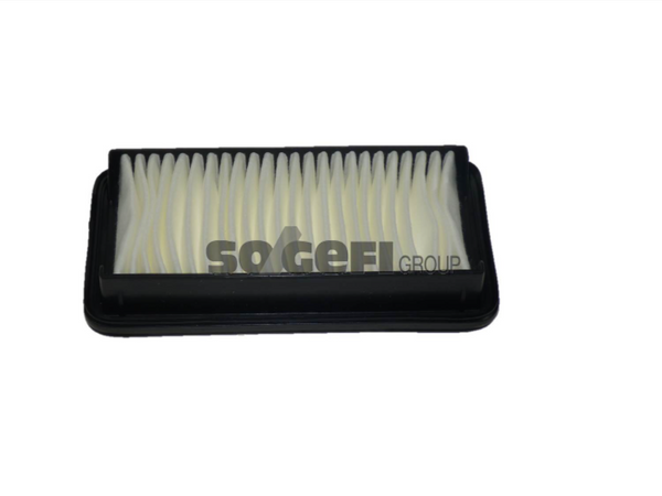 Fram Air Filter - CA10201