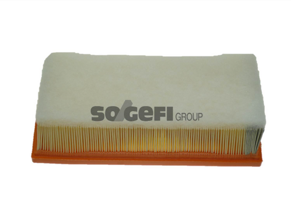 Fram Air Filter - CA10224