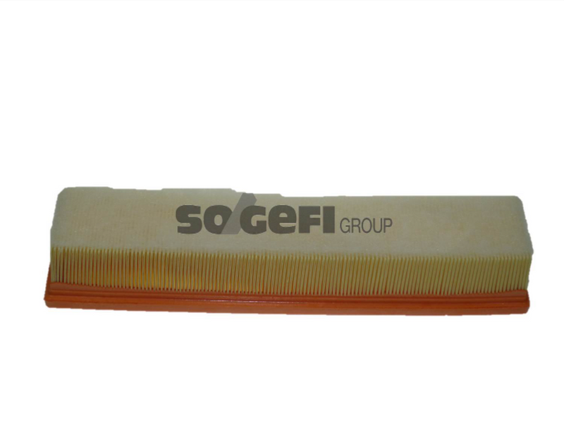 Fram Air Filter - CA10250