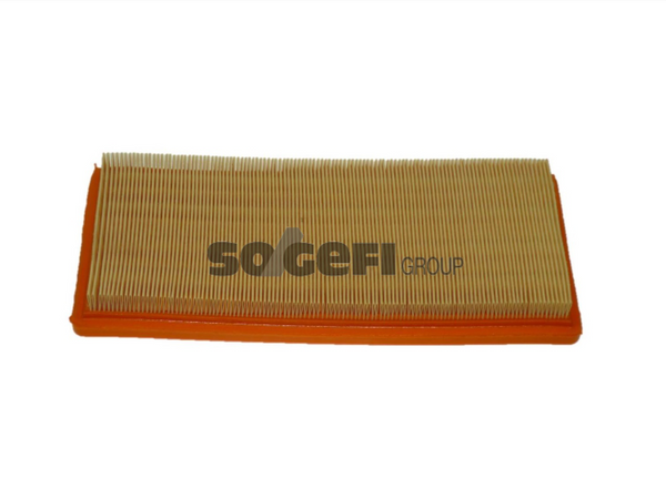 Fram Air Filter - CA10334