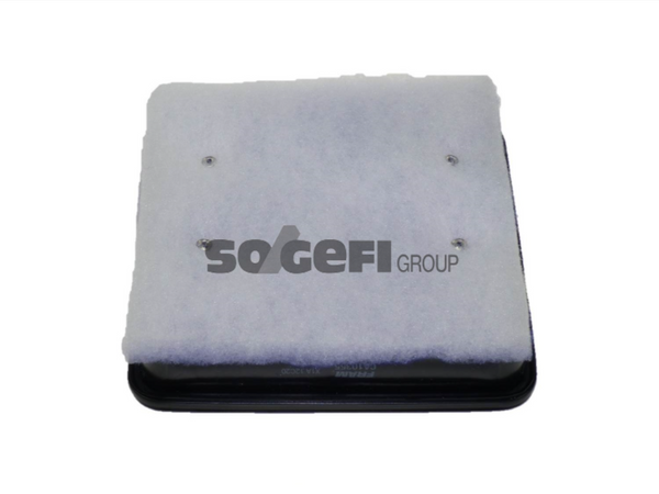 Fram Air Filter - CA10355