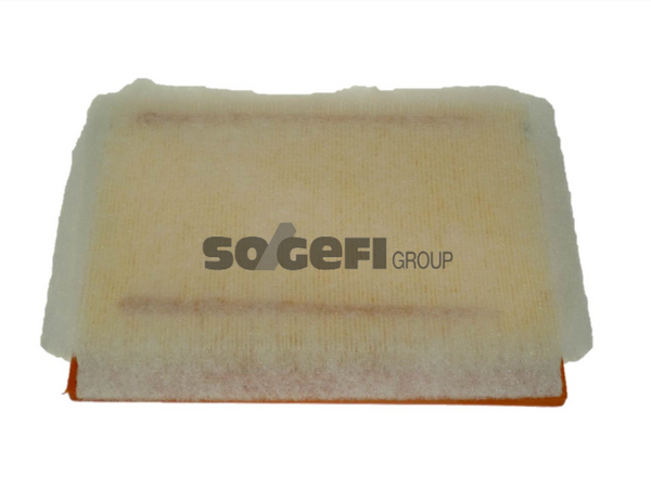 Fram Air Filter - CA10399