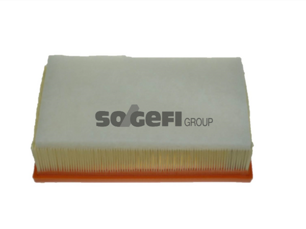 Fram Air Filter - CA10417